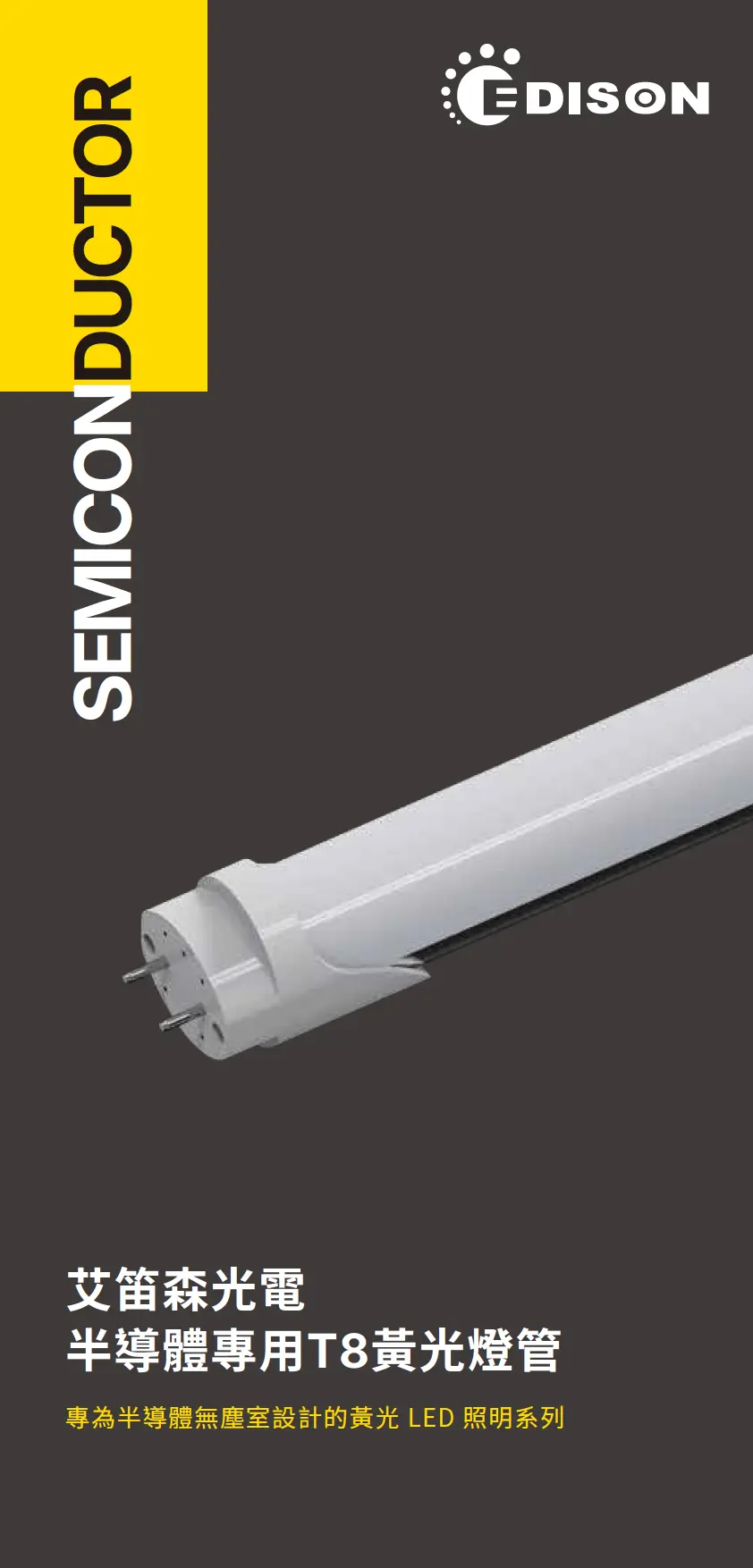 Edison Opto Semiconductor Lighting Flyer