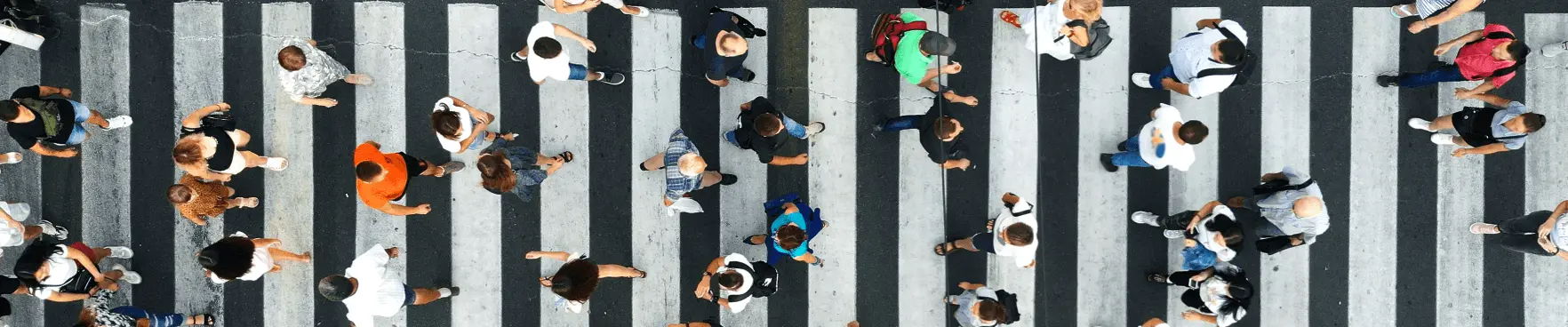 Human Capital Development