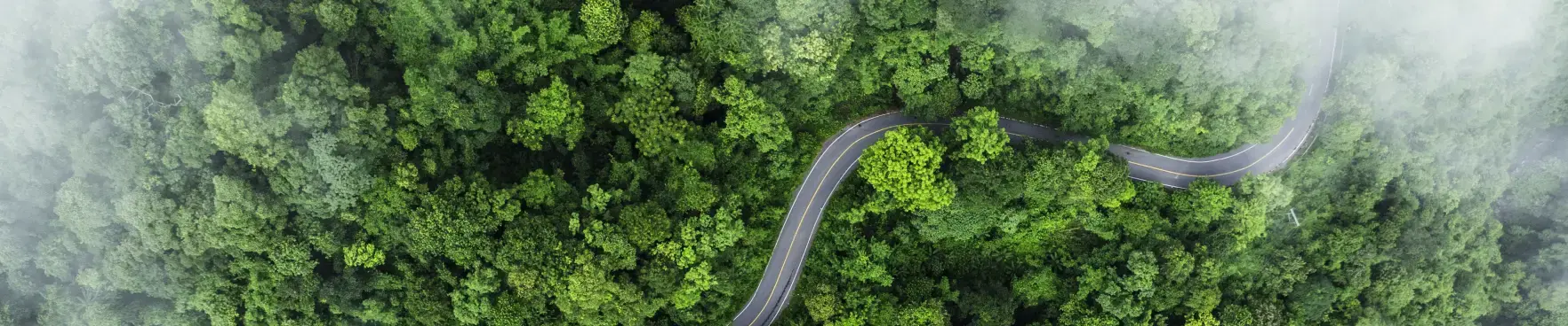 Environmental Management Policy