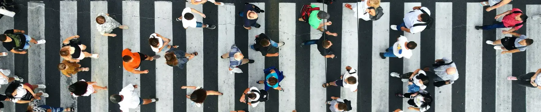 Human Capital Development