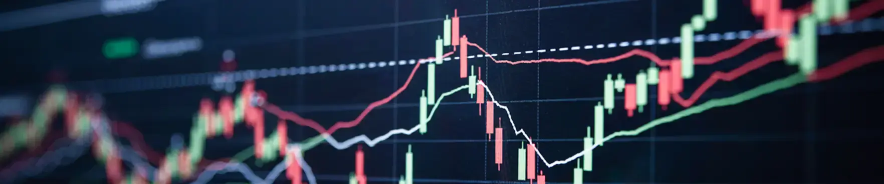 Dividend Information