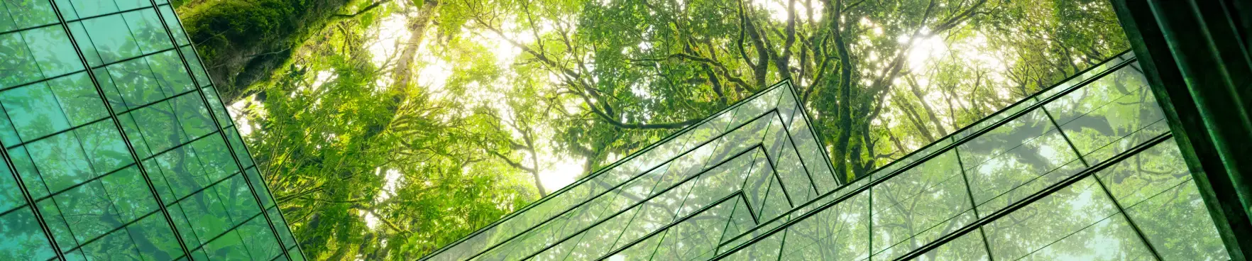 Key Performance Highlights